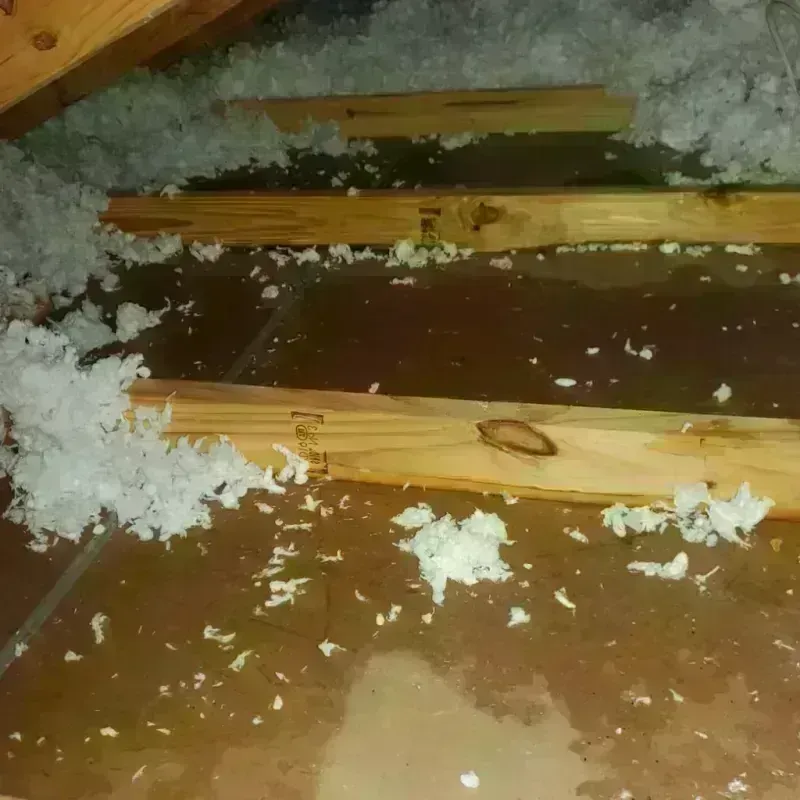 Attic Water Damage in Piedmont, MO