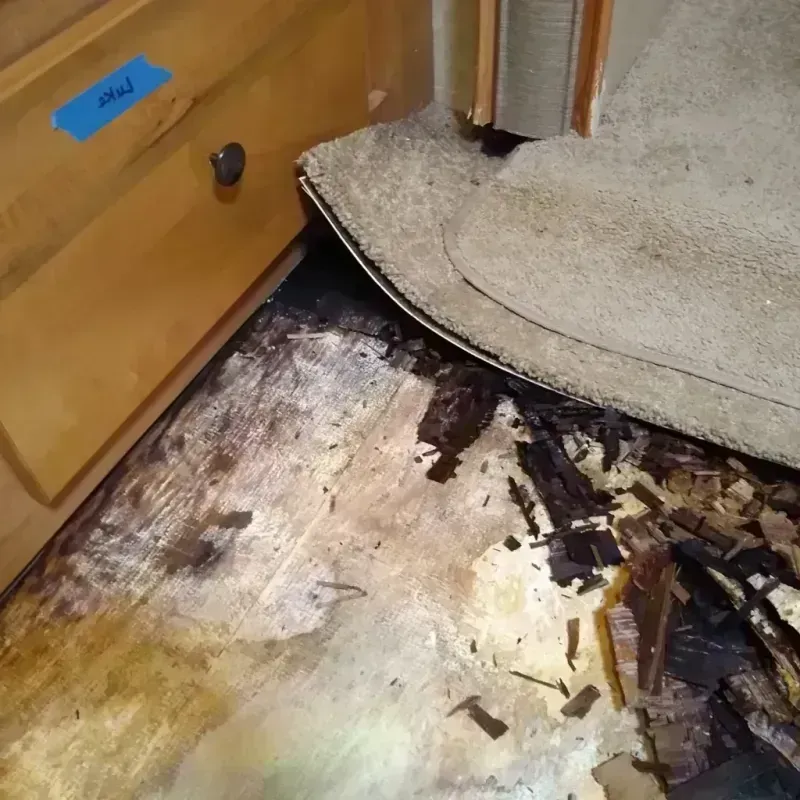 Wood Floor Water Damage in Piedmont, MO